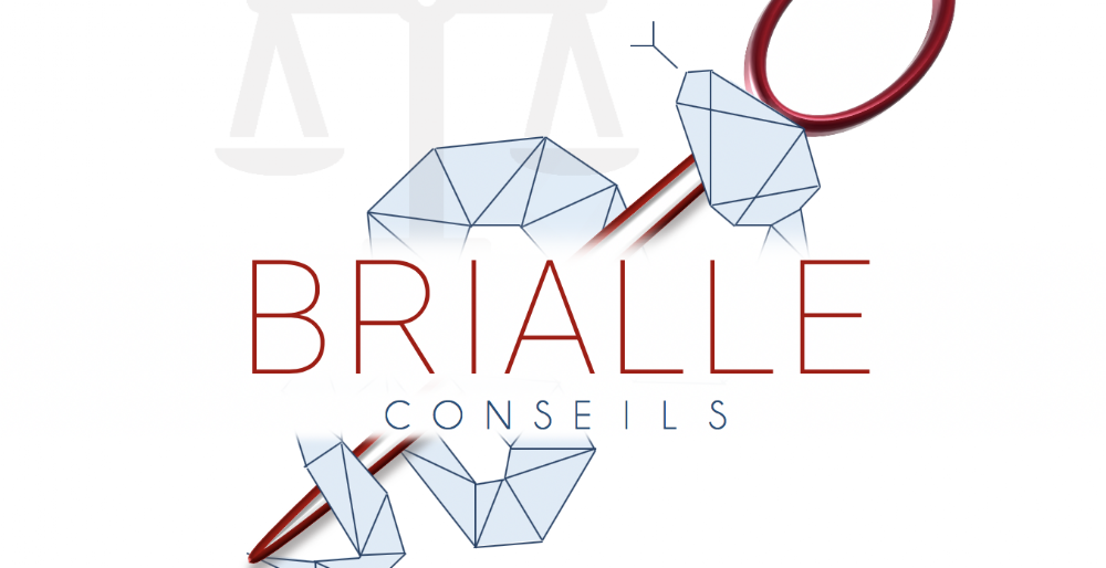 BRIALLE CONSEILS