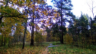 Photos of Lodochnaya Stantsiya Vuoksa-Sport