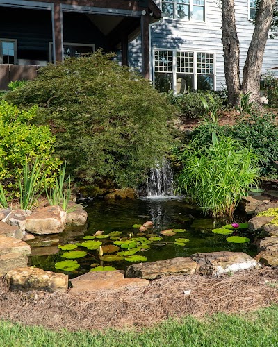 Alabama Aquarium & Pond Services