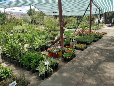 Photos of vivero LA BOTICA