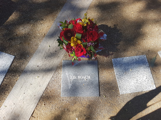 Box Flat Memorial - Visual