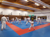 Karaté Krav-Maga Karaté-Mix/MMA Venarey-Les laumes à Venarey-les-Laumes