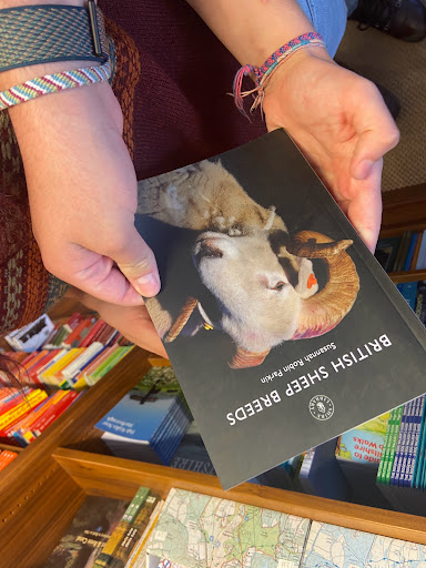 White Horse Bookshop - Thumbnail