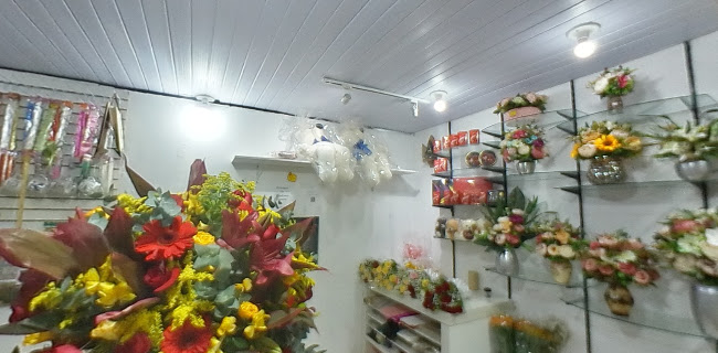 Floricultura Rosas e Flores - Rio de Janeiro