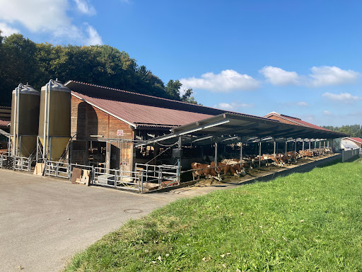Bayerische Staatsgüter - Versuchs- und Bildungszentrum Rinderfütterung - Staatsgut Achselschwang - Thumbnail