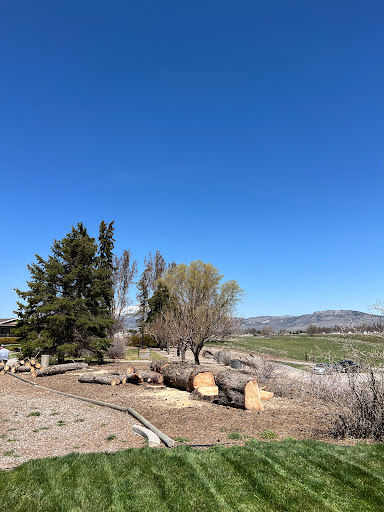 LS Tree Services LLC - Visual