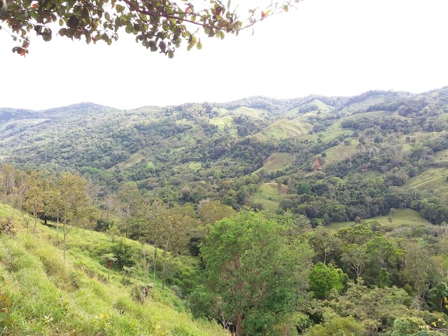 Nauyaca Waterfalls