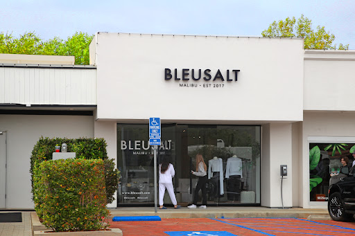 Bleusalt - Visual