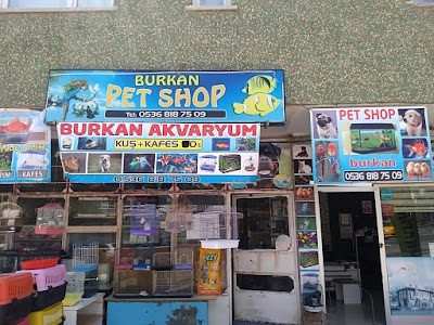 Burkan akvaryum