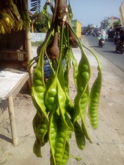 Photos of Pemancingan Neng Une