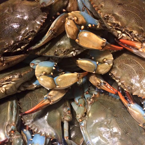 David's Crab House by null