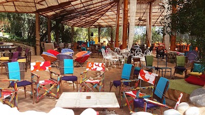 Photos of La Arbequina