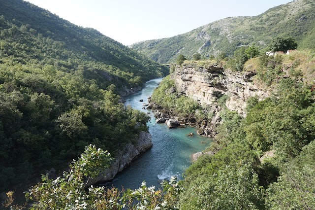 Тара