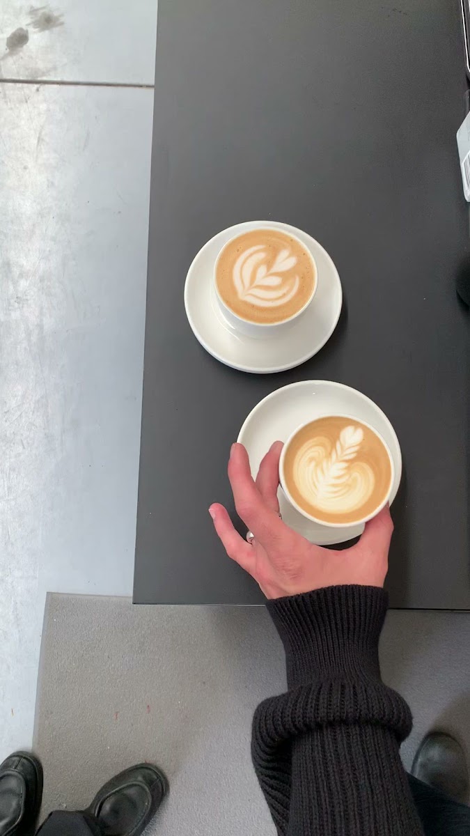 Lightroast Coffee — photo 4