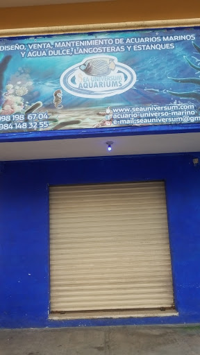 AQUARIUM'S SEA UNIVERSUM Gallery - Mexico