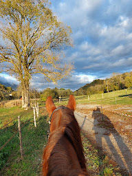 Photo n°4 de Écurie de Coise à Coise-Saint-Jean-Pied-Gauthier (Écurie)