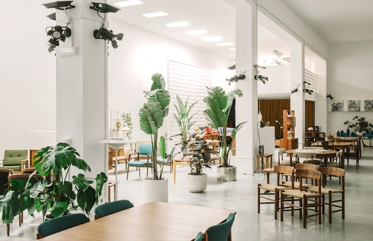 El Recibidor by null