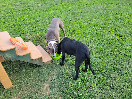 Albemarle Parks & Recreation Dog Park - Thumbnail