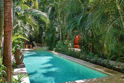 Photos of Stef Surf