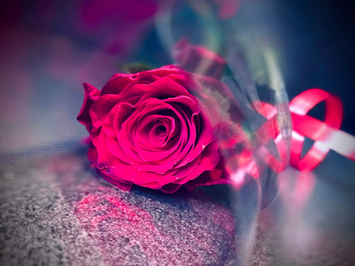 Lieve (Bloemenboetiek) - Thumbnail