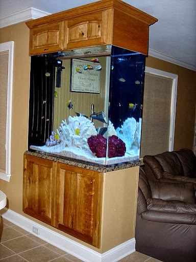 Tropical Reef Aquarium Maintenance Gallery - United States