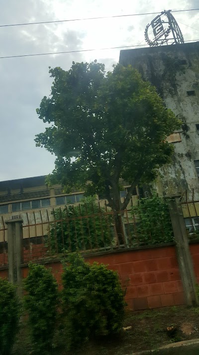 Photos of Golden Guinea Breweries