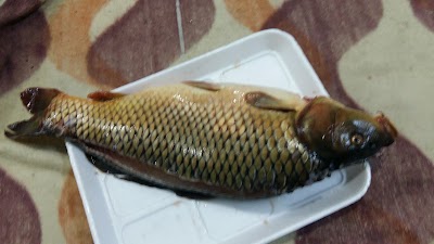 Photos of جامع التقوى
