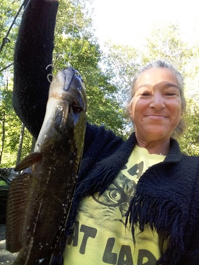 Pocasset Cemetery Bridge Fishing