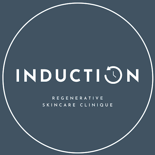INDUCTION AESTHETICS - Visual