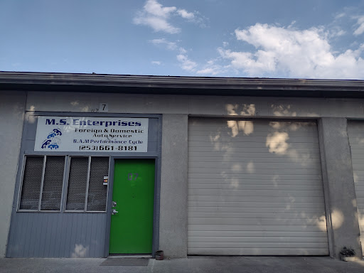 Ms Enterprises - Visual