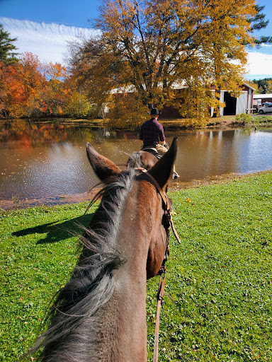 Catskill Equestrian Center - Thumbnail