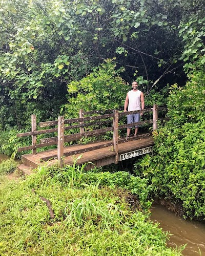 Okolehao Hiking Trailhead