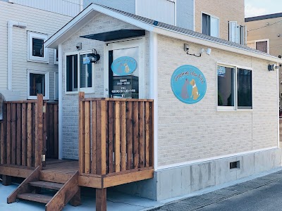 Grooming Salon Rit'z★