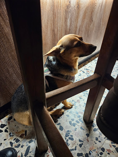 Bridge Pub - Visual