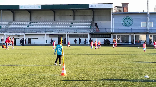 Campo Do Palmeira.dr Augusto Correia Número de telefone