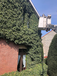 Photo n°6 de Reinhard élagage à Blois (Jardinier)