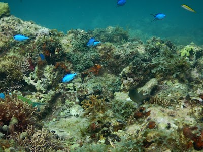 Photos of Moliniere Point