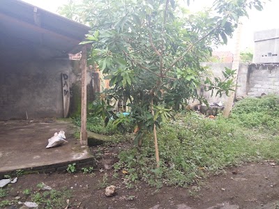 Photos of Bale Sanggeng Regency