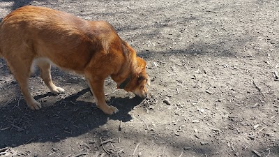 Old Town Bark Park