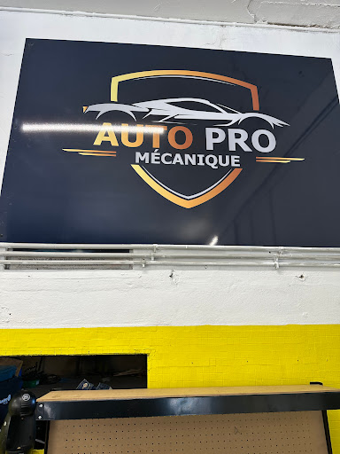 AUTO PRO MECANQIUE - Thumbnail