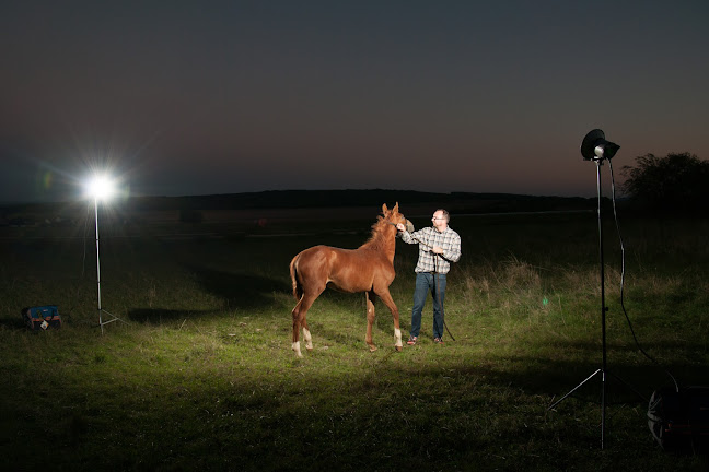 Greg' Photo. photographe - Nancy