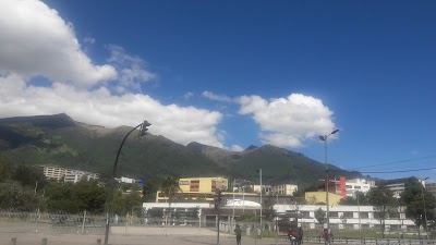university