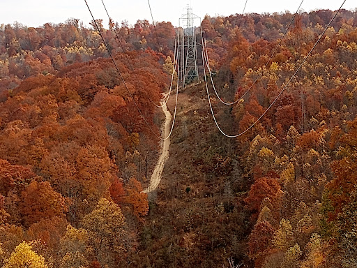Pike State Forest - Visual