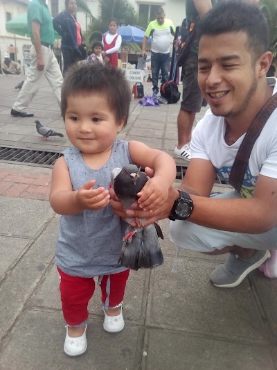 Photos of Plaza Mayor de Fusagasug&aacute;
