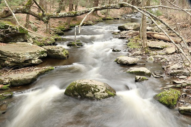 Delaware Water Gap National Recreation Area