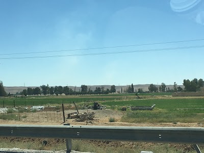 Photos of Mosque of Mohammed Bin Ayed