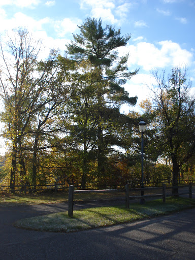 Charles A. Weyerhaeuser Memorial Museum - Thumbnail