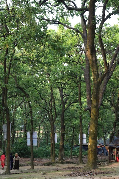 Photos of Mozumdar Resort