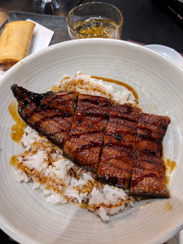 Sagami - Bologna