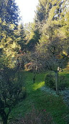 Photo n°7 de Magnétiseur MGV à Stenay (Siège social)